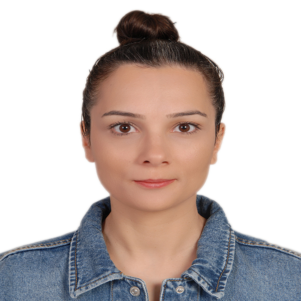 Aynur Çoban, Dr. Öğr. Üyesi