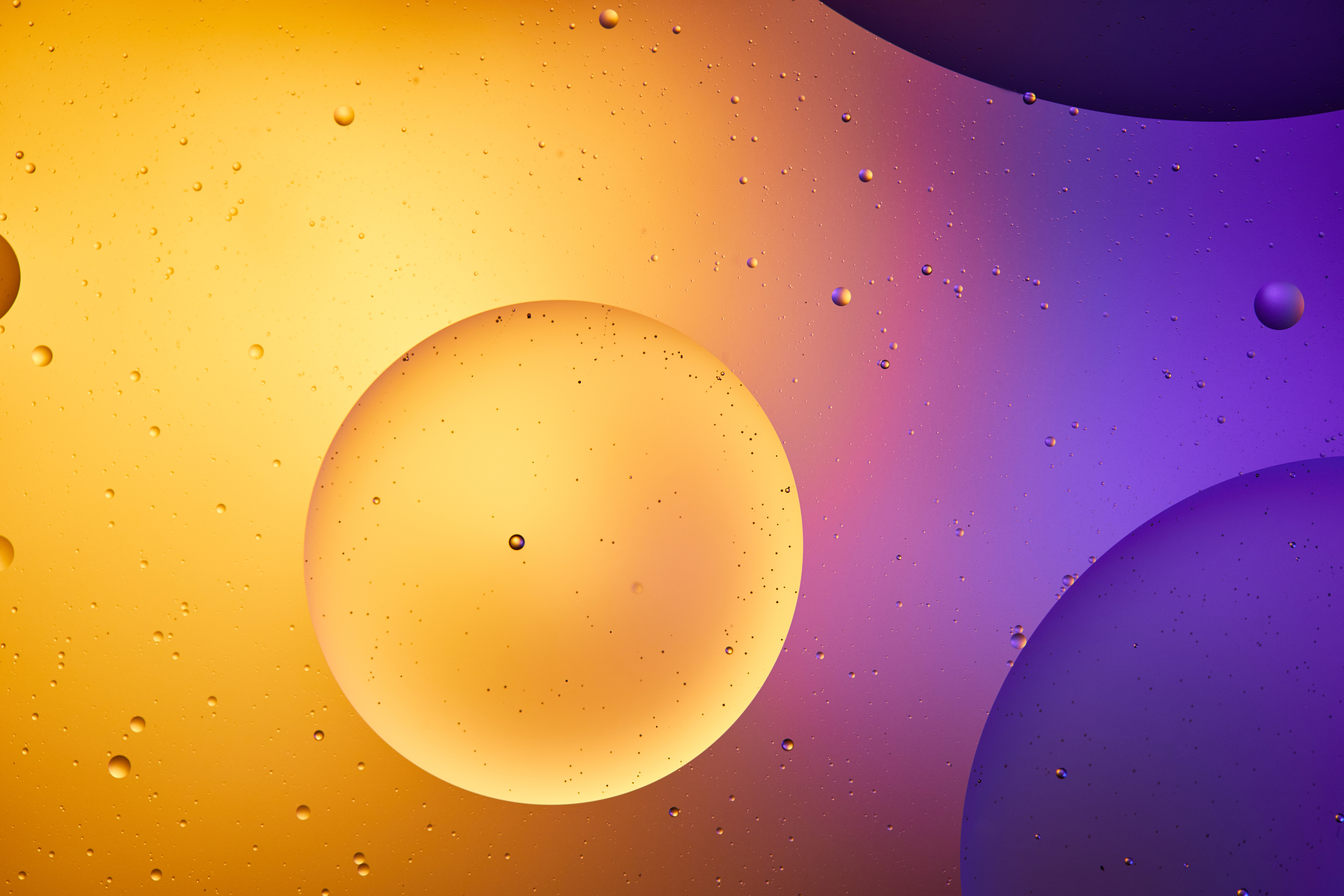 19 Aralık 2025 Tarihli TOEFL ITP ye Girecek Hazırlık Öğrenci Listesi