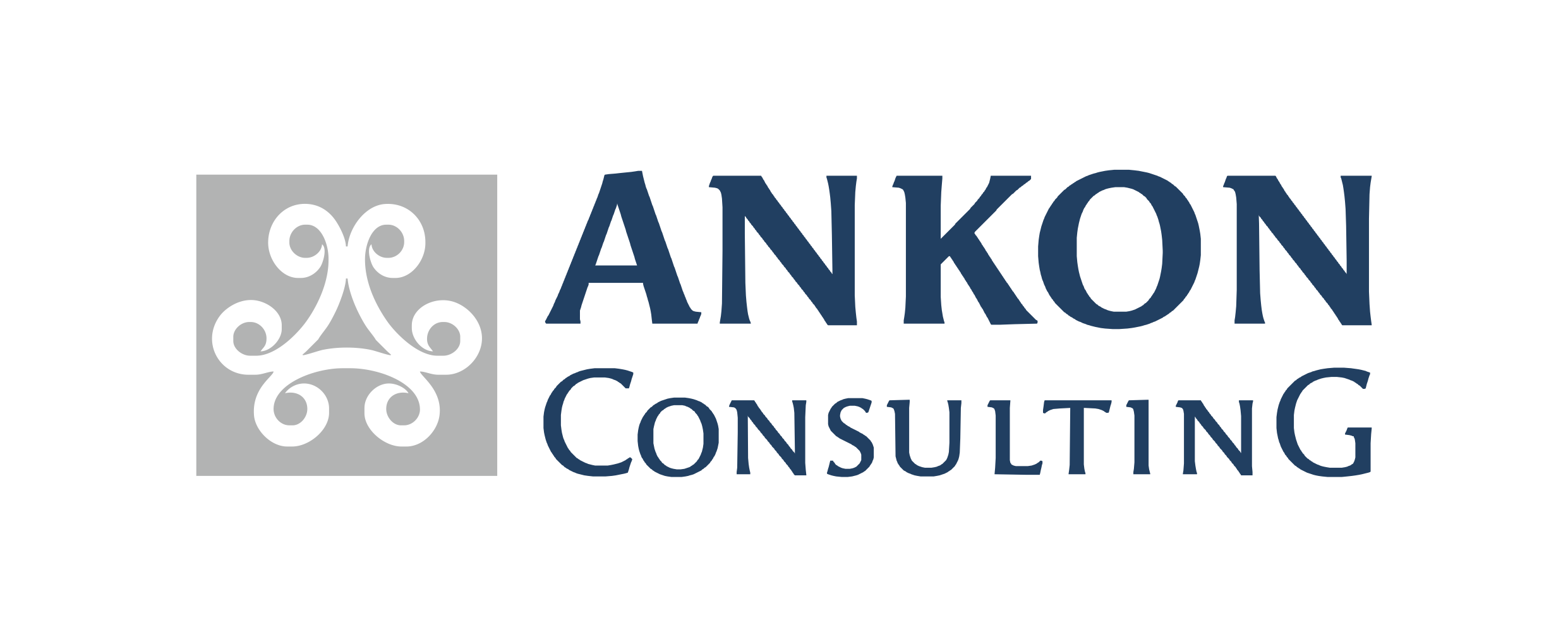 ANKON Consulting, 