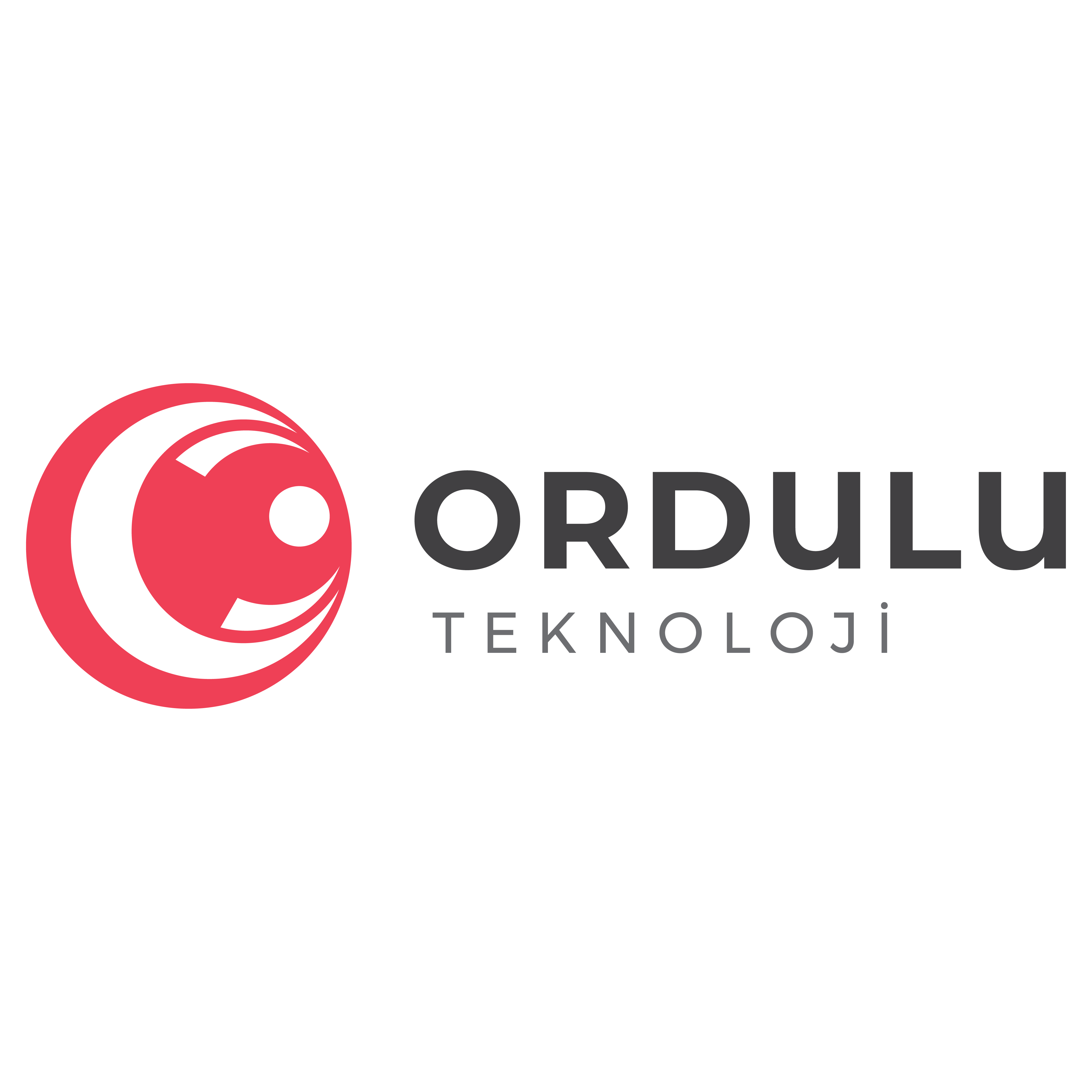 ORDULU BİLGİ TEKNOLOJİLERİ A.Ş., 
